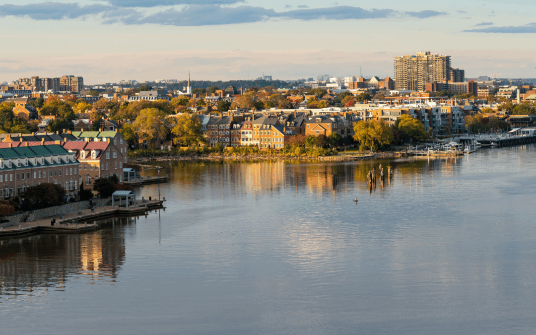 Why Community Involvement Matters at Character Companies